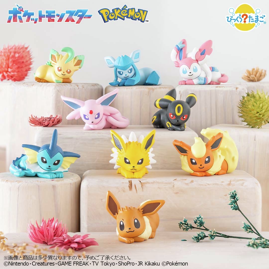 リラックスした姿がたまらない✨ イーブイとその進化系を集めた