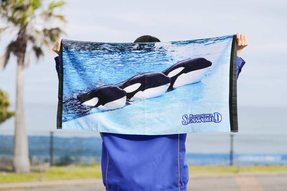 ついに明日7/1から「サマースプラッシュ」がスタート！！ 館内ショップ