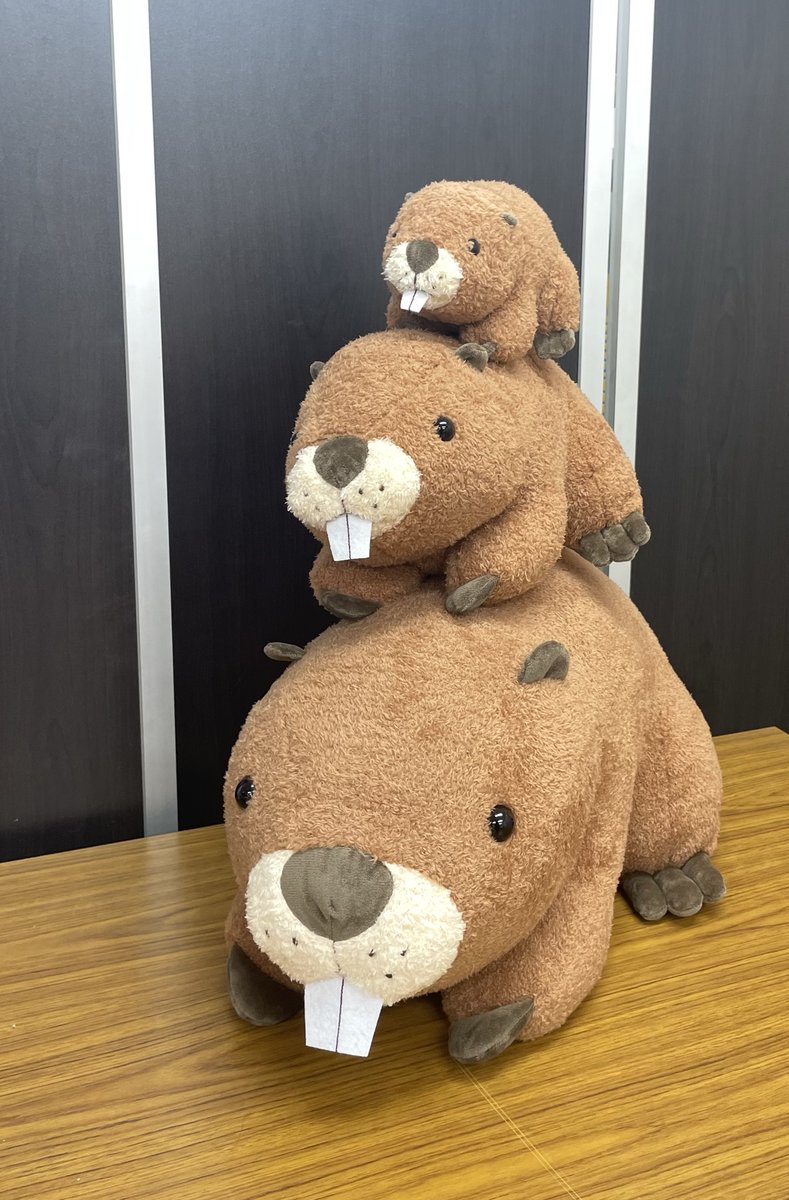 お客さまのアンケートから生まれた、うみの杜オリジナル「アメリカ