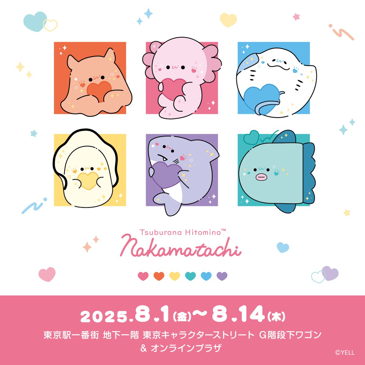 ╭━━━━━━━━━━━━━━━━━━━╮ 🌟 つぶらな瞳のPOPUP in