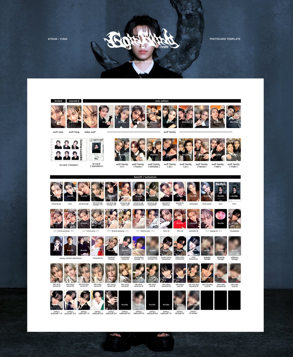 &TEAM 3rd Single 「Go in Blind (月狼)」 andteam photocard list