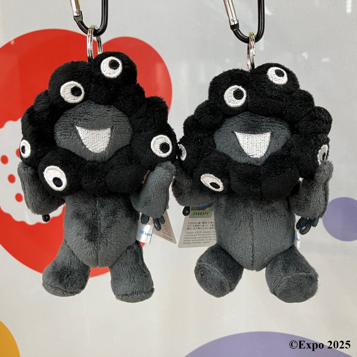 東ゲート店 MARUZEN JUNKUDO 📢おしらせ ご好評いただいております