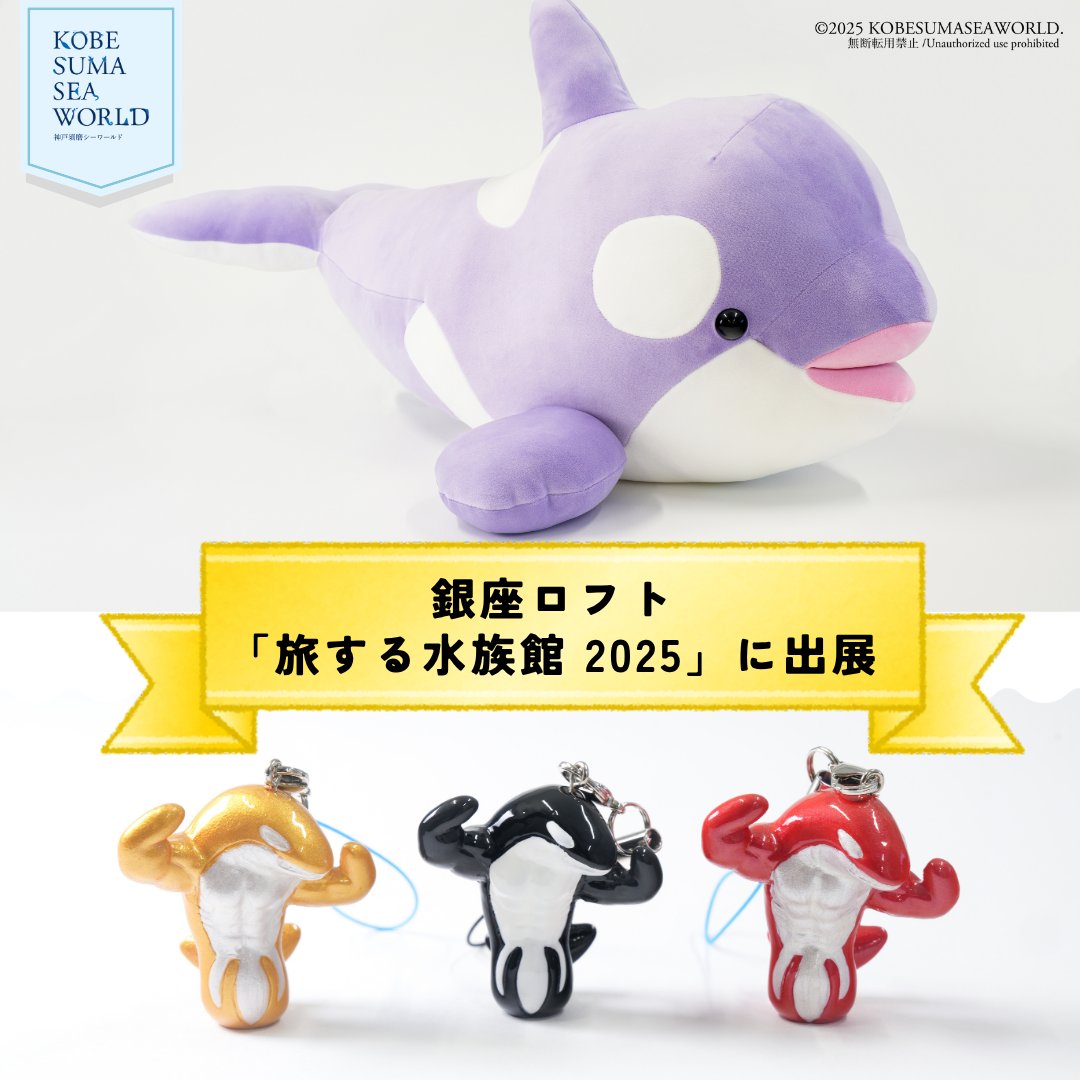 銀座ロフト にて開催中の日本の水族館の魅力を紹介する人気企画「 #旅