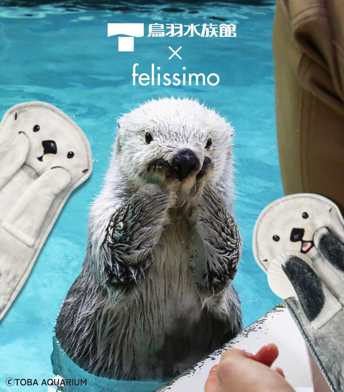 カプくじ×鳥羽水族館 ラッコのメイちゃんくじ リターンズ！ 18点