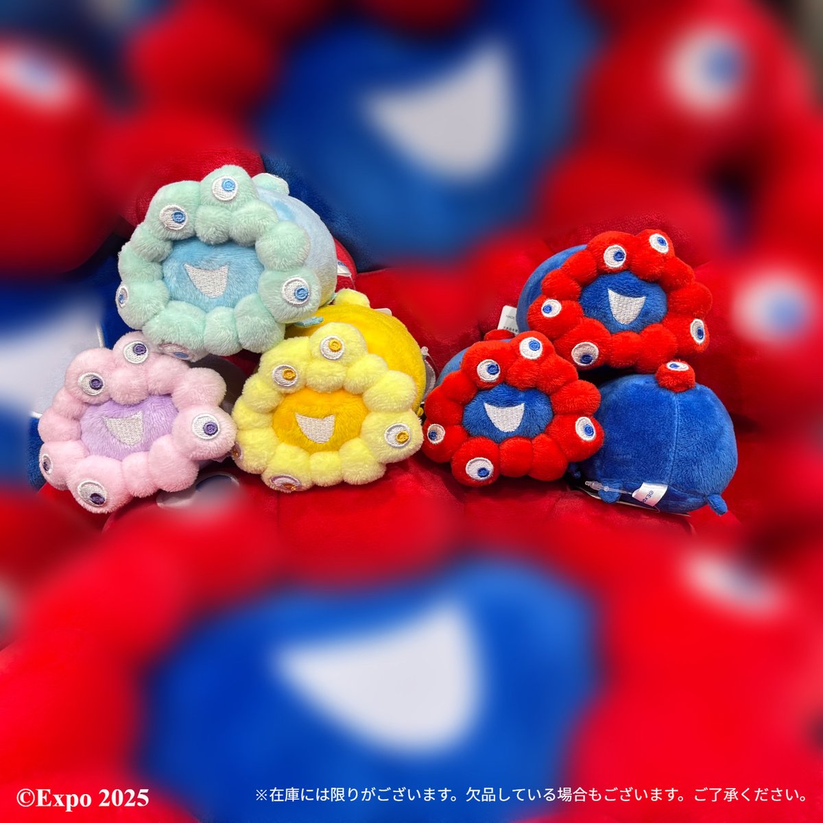 東ゲート店 MARUZEN JUNKUDO 🕘7/19(土)開店しました ころんとした