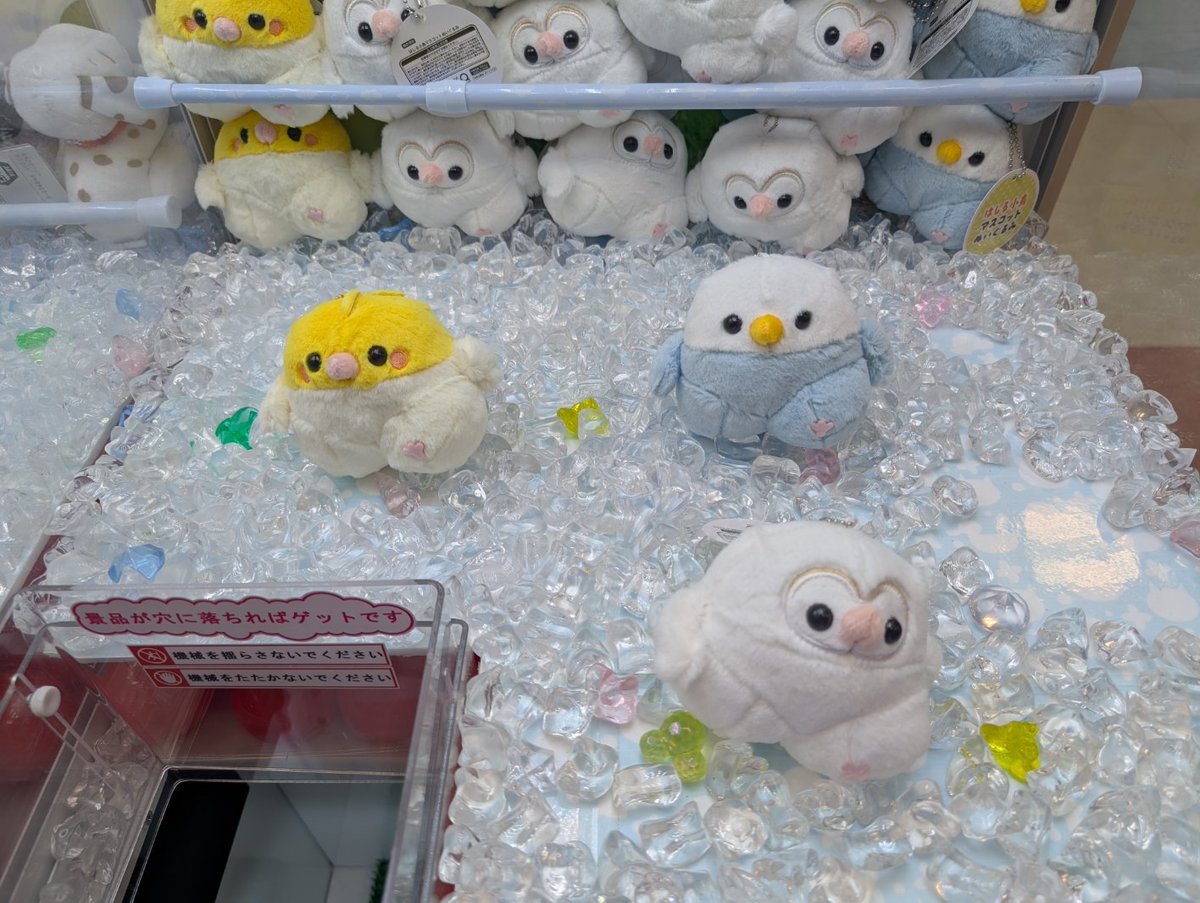 プライズ情報】 当店では『走る小鳥 マスコットぬいぐるみ（全3種