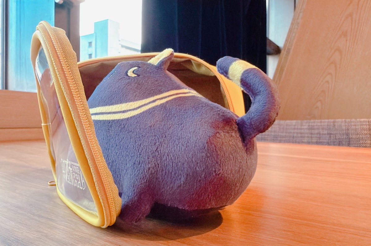 先週末の #217find!もご視聴ありがとうございました! 本日は7/27