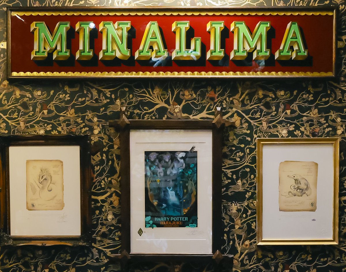 ハリポタショップ原宿 注目ポイント！ 1⃣蛙チョコレート フォト