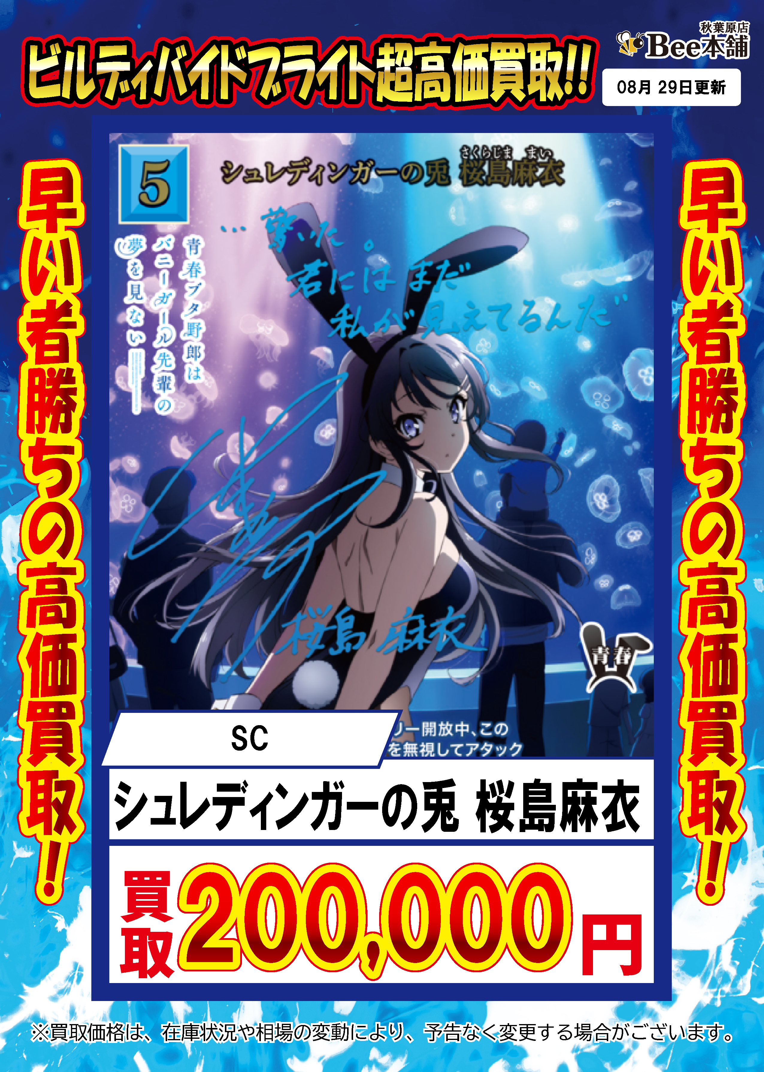 y*k様 PSA9 ビルディバイドブライト シュレディンガーの兎 桜島麻衣SC