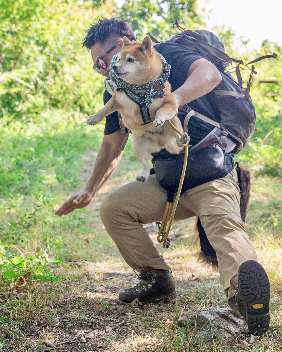 石につまずいた瞬間に撮れた奇跡の一枚 人間と犬、魂までリンクした受け身