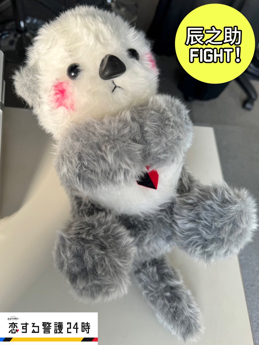 いよいよ…！ 恋警護スタッフも息をのんで 辰之助の挑戦を見守ります