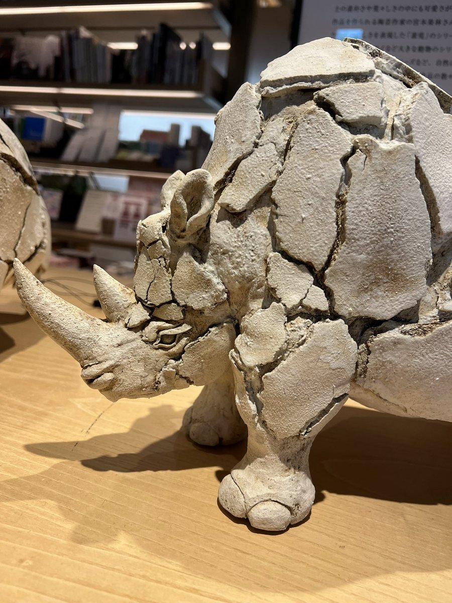 宮本 果林 MIYAMOTO Karin (@_karin_miyamoto) / Posts / X