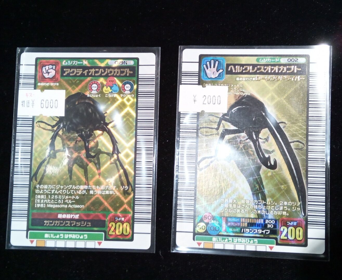 ARS鑑定 ムシキング 2003春 アクティオンゾウカブト 学名黒