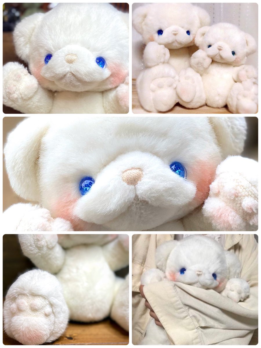 いつもわくわくする商品や企画をありがとうございます！ テディベアで