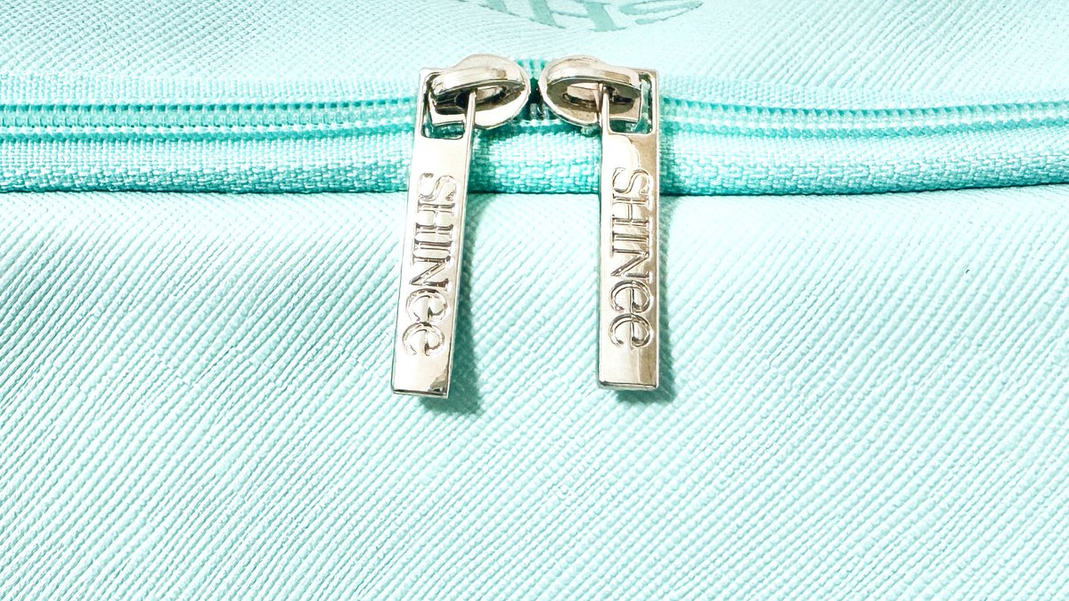 📝SWVI 東京ドーム 追加グッズ 💎FANLIGHT スリングポーチ📷レビュー①