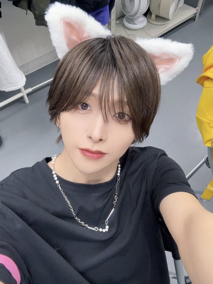 今日はねこでした🐈🫶🏻💕︎︎