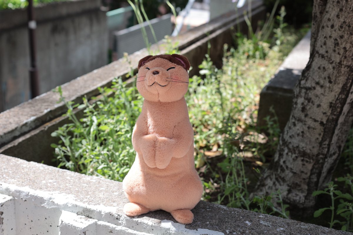 GL16_7xbsAAsVwA.jpg?format=jpg