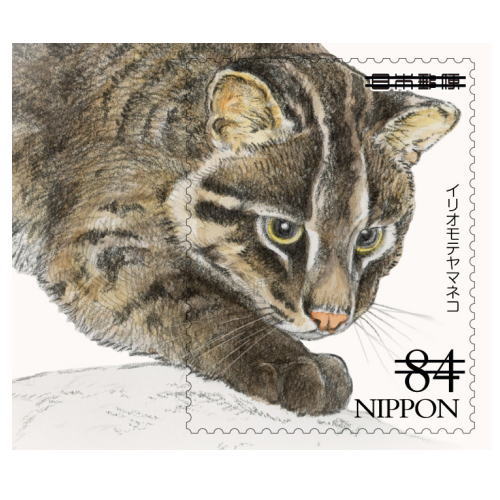 今日4月15日は1965年(昭和40年)のこの日、イリオモテヤマネコが新種の