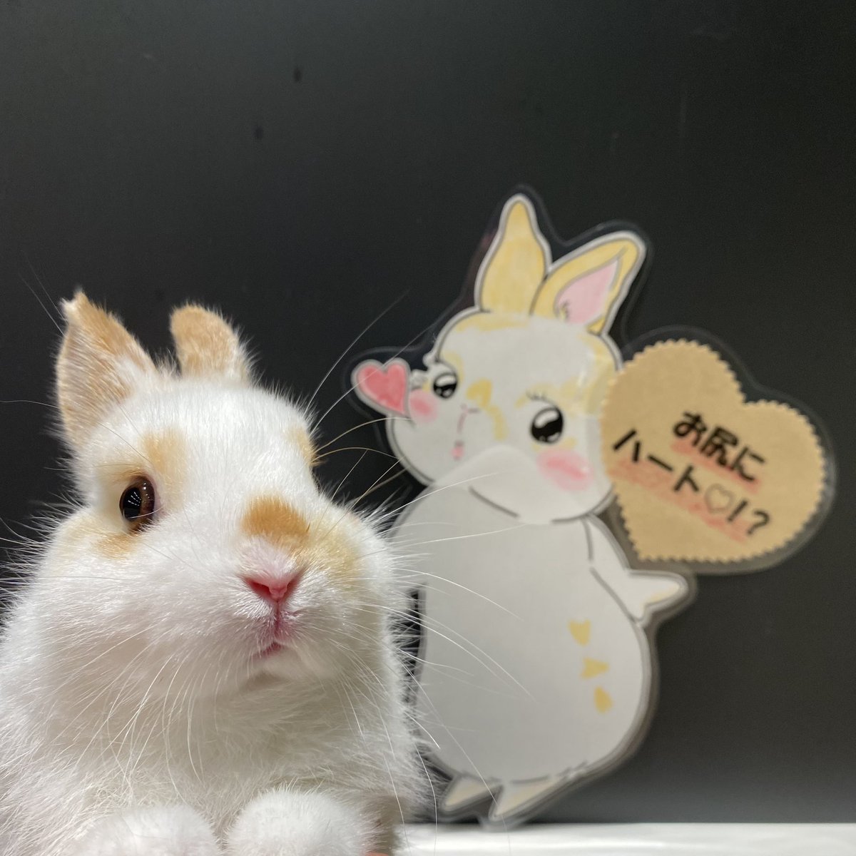 実は私、秘密がありまして…🤫💕 キュートすぎるハートちゃんで