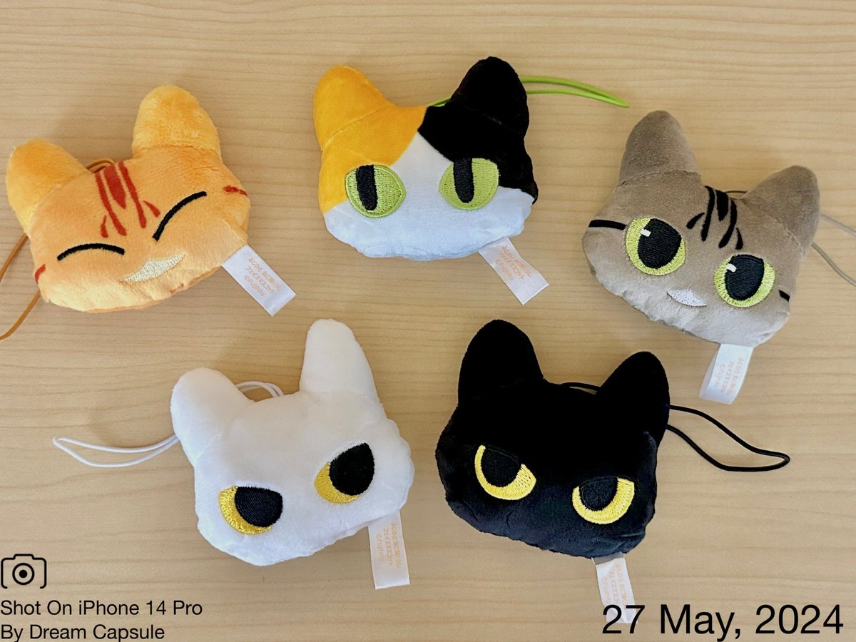 🌟新入荷ガチャ商品プレゼントCP🌟 可愛い猫たちのふわふわマスコット