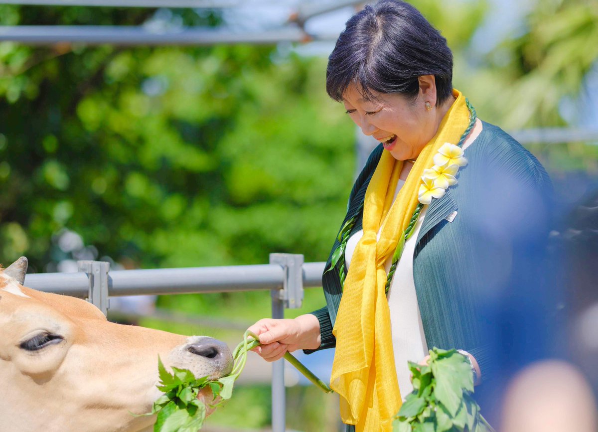 八丈島では島内各地の視察も行いました。 放牧酪農をしているゆーゆー