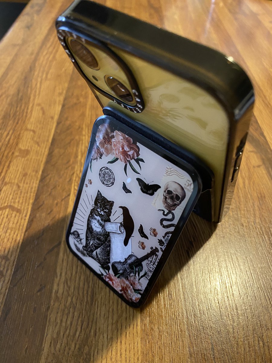 ヒョンジンとお揃いのスマホケースと猫ちゃんのカードホルダー届いたん