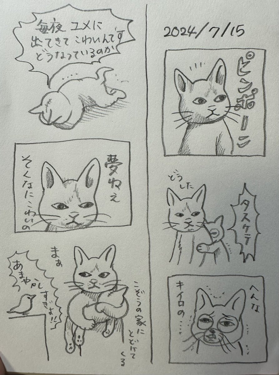 ボリス絵日記 続く悪夢