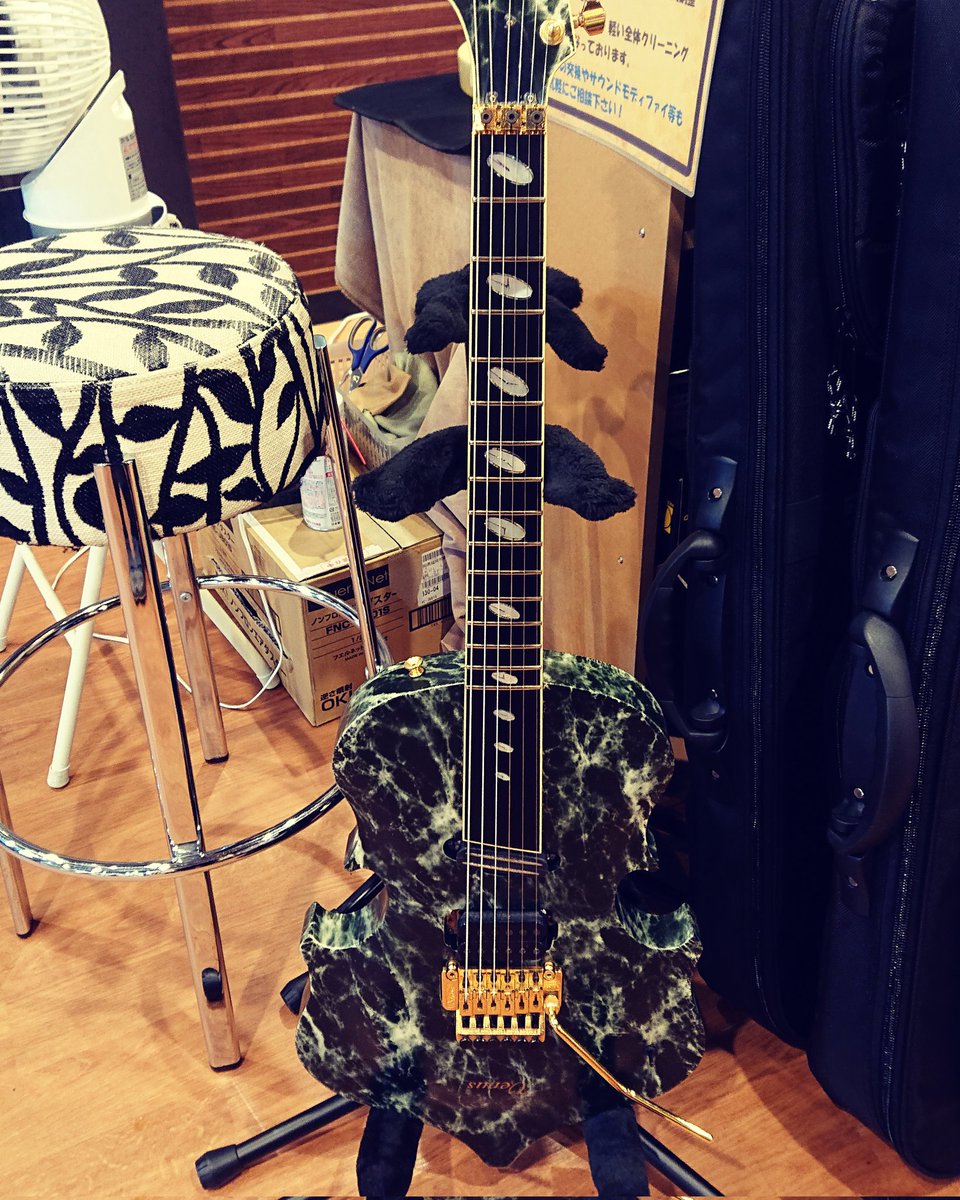 買ってよかったギター 手に入ってよかったと言うべきかな Caparison