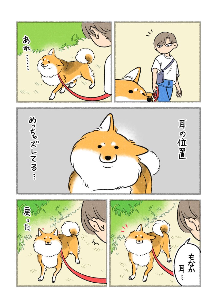 Post by さかぐちまや on X: ズレてますよ