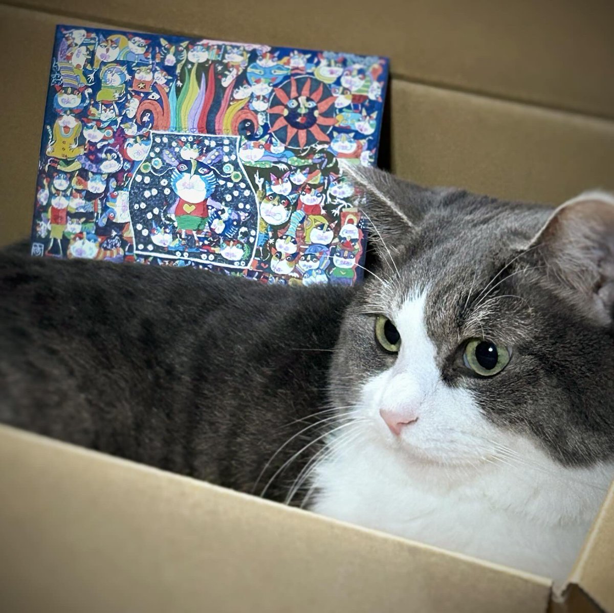 猫六堂＊鈴木信也 (@nekorokudou) / Posts / X