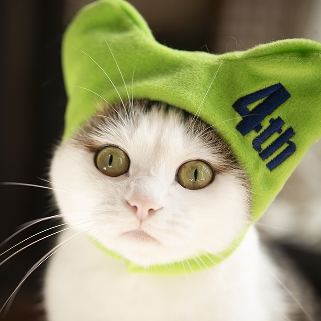 I am Maru. (@Maru_0524) / Posts / X