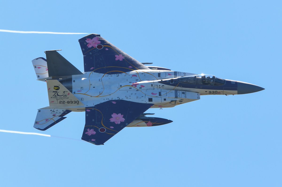 you picking japan's cherry blossom F15 or saudi's national day F15?