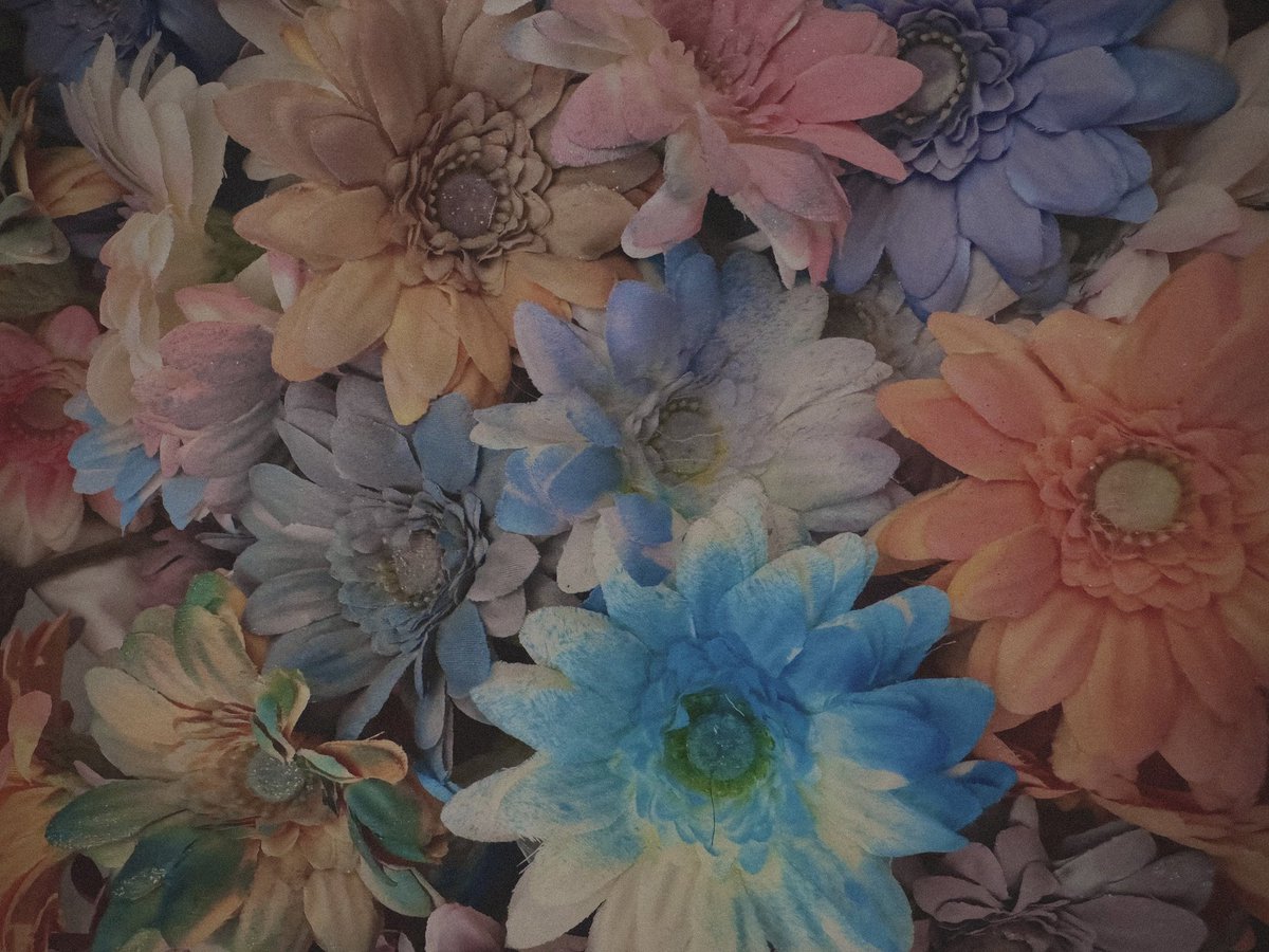 Etrarium 4th Collection POPUP STORE ( u n ) U T O P I A 東京3日間