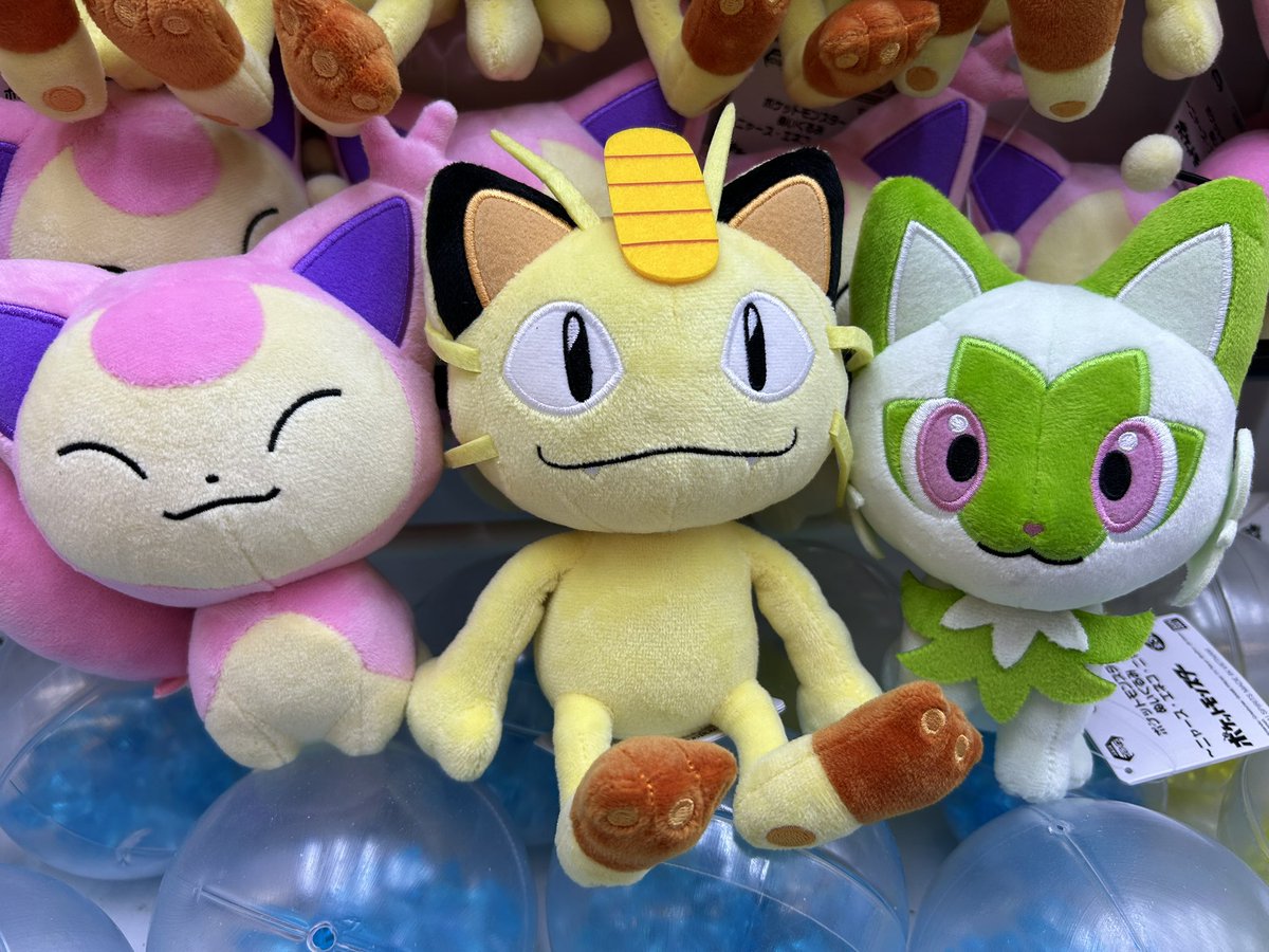 🐱新景品入荷情報🐱 ポケットモンスター ぬいぐるみ ニャース·エネコ