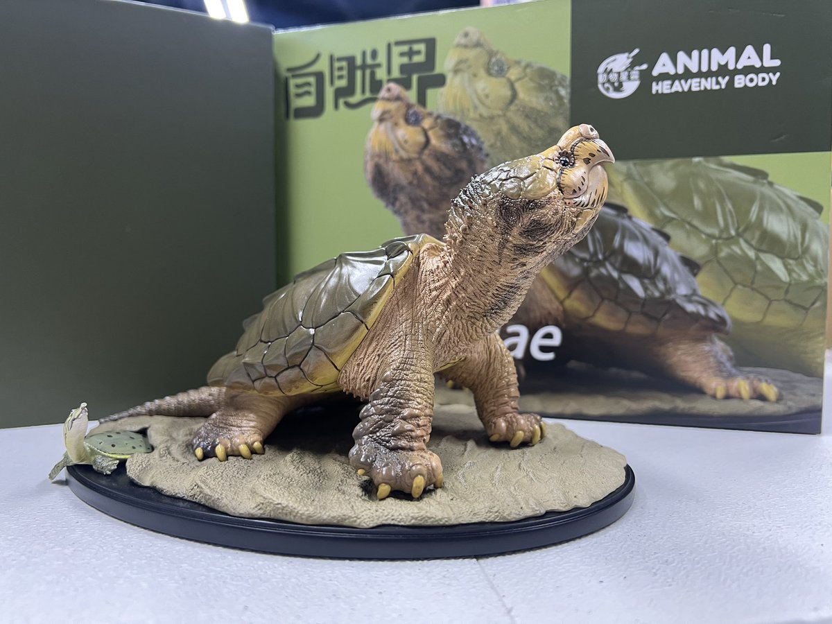 動物の惑星〜アニマルプラネット WF 6-05-08 (@animal2023jp) / Posts / X