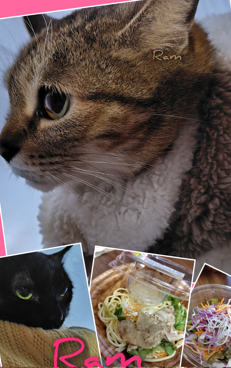 ラム肉ｯ*のラムちゃん＆ｱｸﾞﾈｽﾗﾑﾁｬﾝﾏﾑjc5(*^)♪ DJ☆KT☆99co