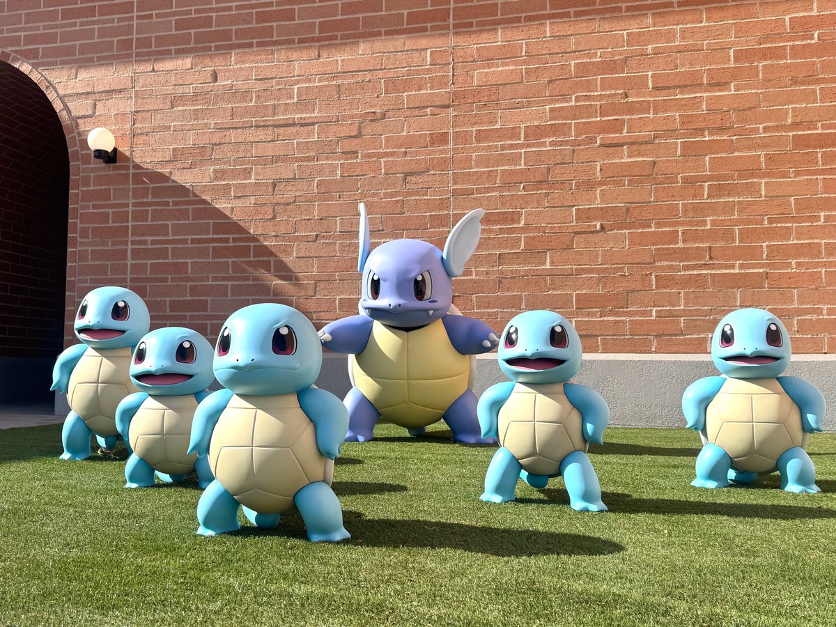 よく見ると、ゼニガメたちにも個体差がありますね😎 ポケモンが目の前