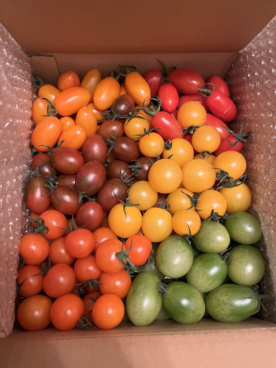 今年になってもう3箱目の完熟トマトとミニトマト。大阪 富田林からのお