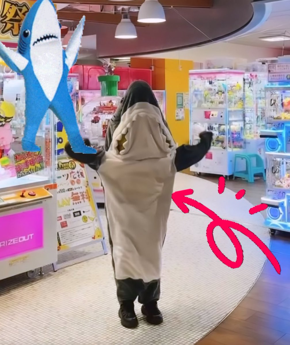 大大大大人気‼️ 当店、超人気 #サメ着ぐるみ 大量再入荷してます