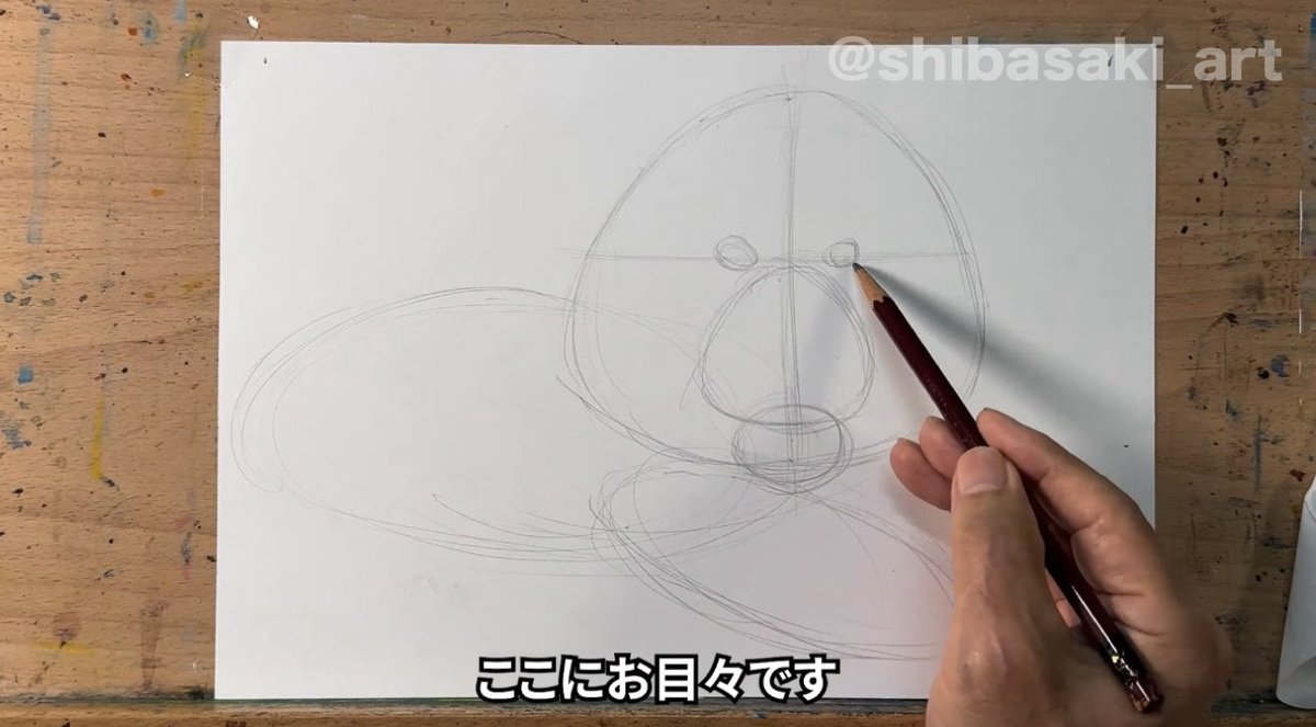 トラ、ハス、クジャク、自筆の絵です、