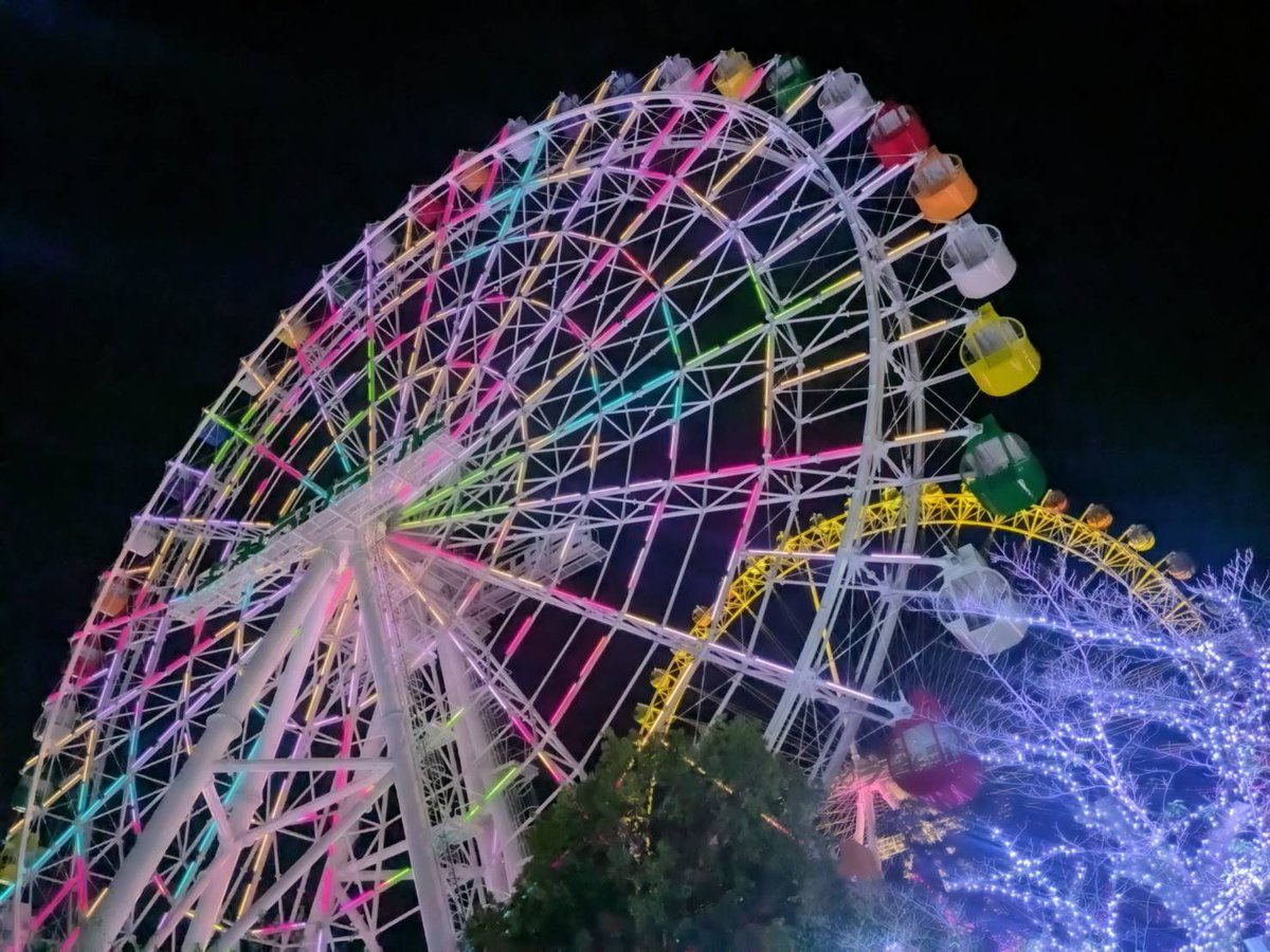 ✨✨クリスマスに向けてキラキラ強化中✨✨ クリスマスが今年も