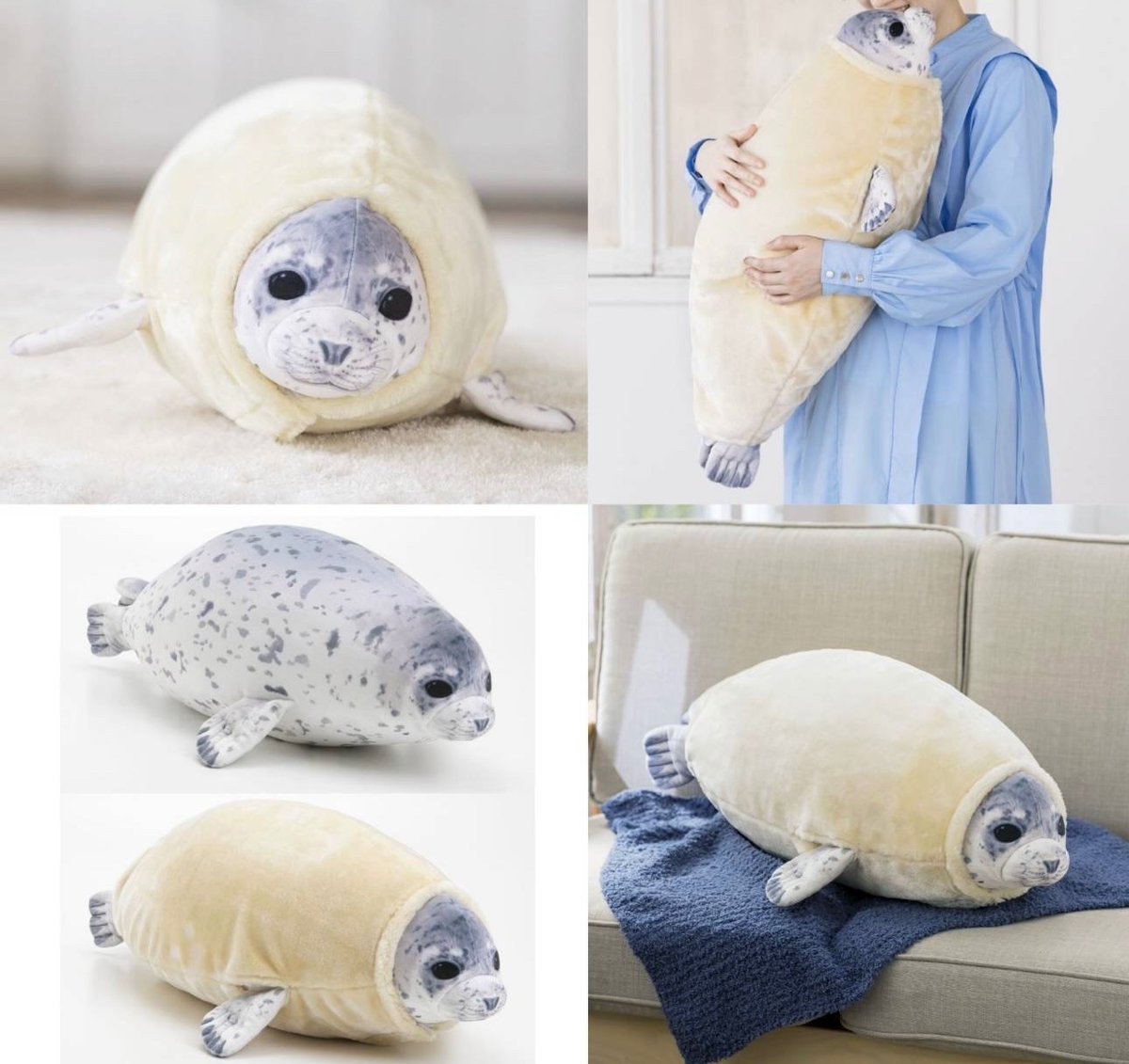 アザラシ クッション各種あります🦭✨ ☆アザラシのもちもちちゃん