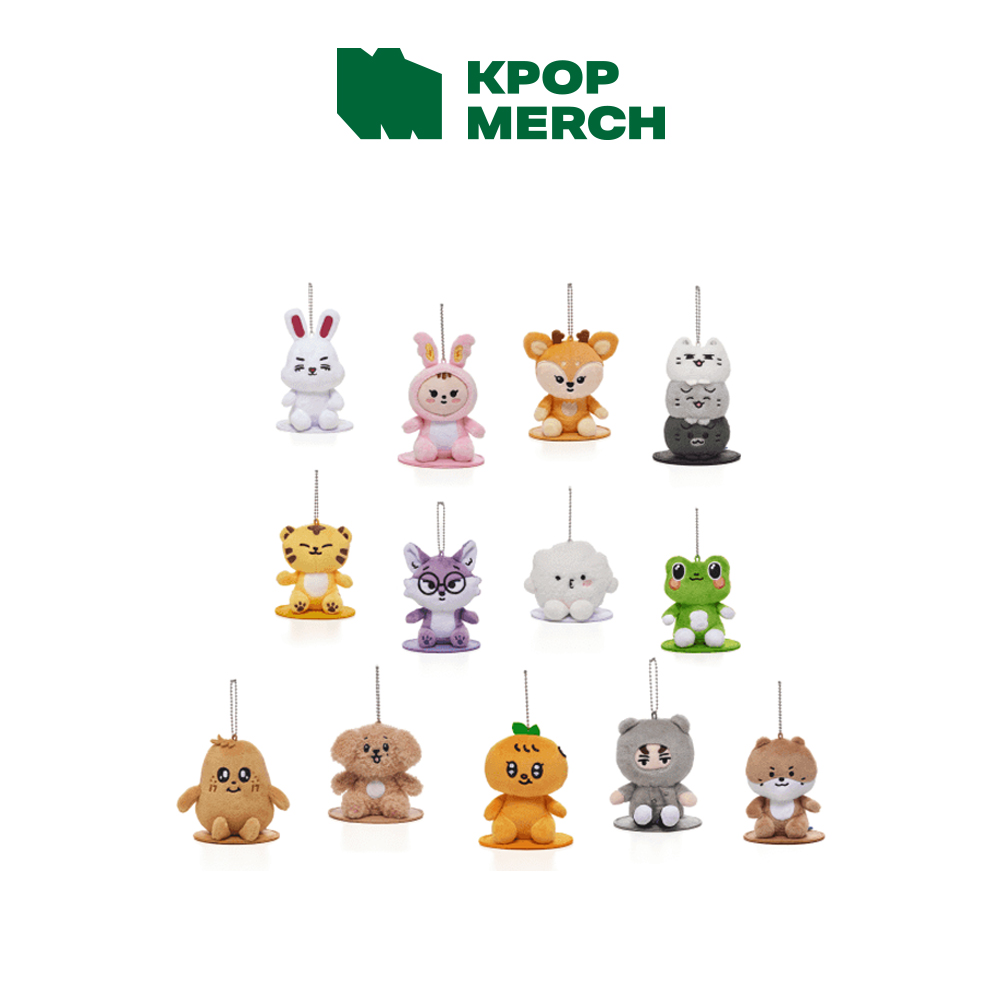 先行予約受付中】 SEVENTEEN 💎MINITEEN Magnet Plush Keyring 📅2025