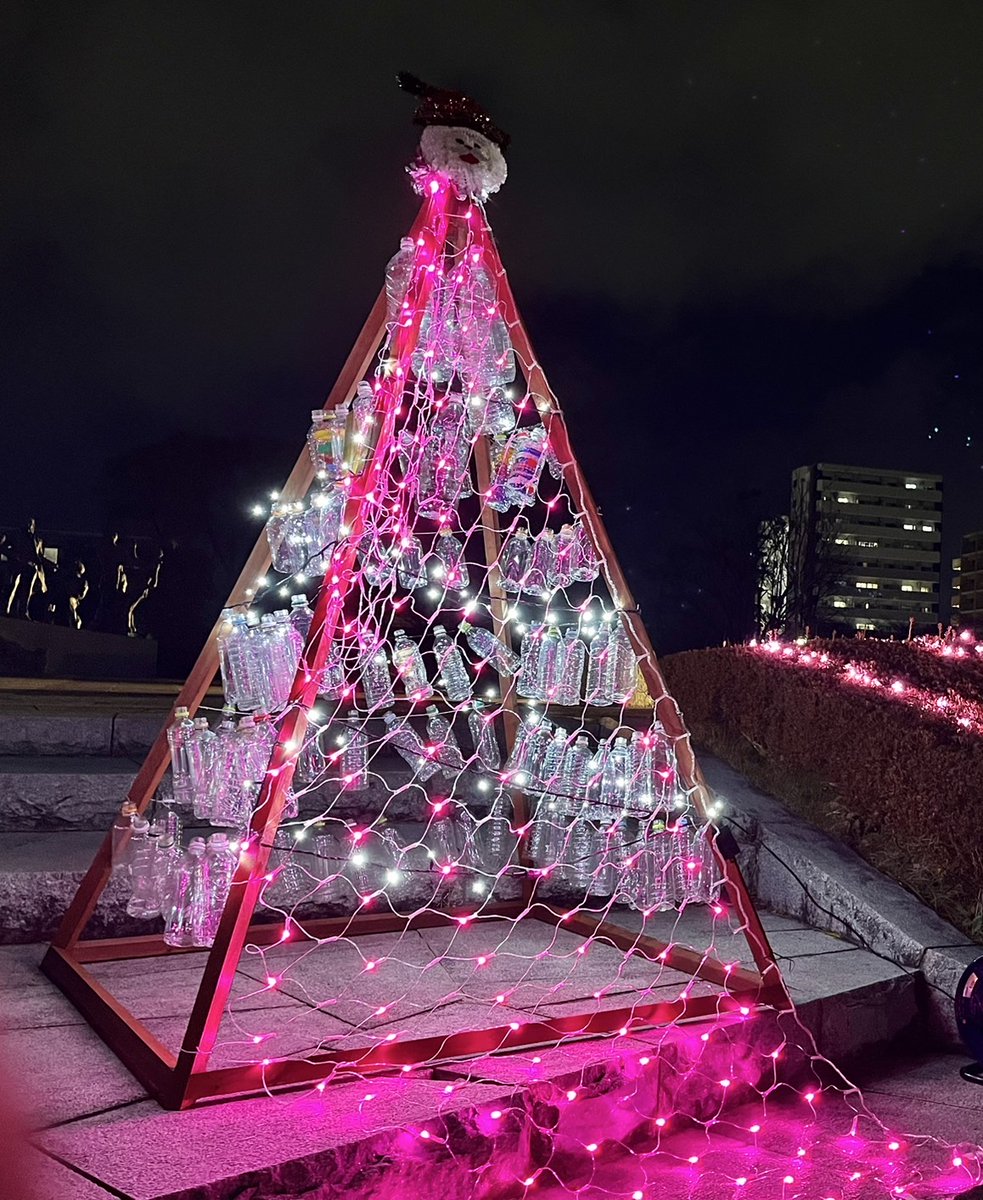 華です🌸 開成山公園に咲く光の桜✨✨ 「フユノサクラ」をイメージした