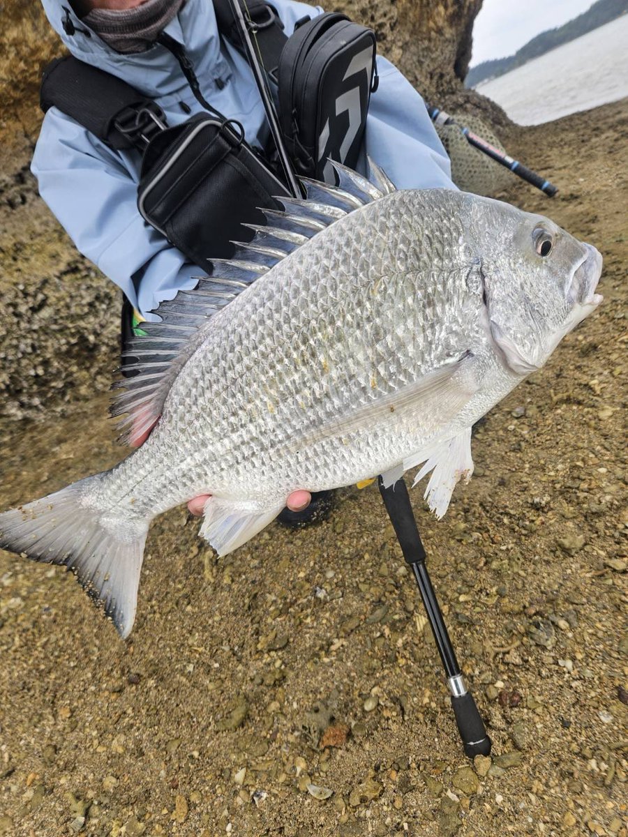 ジグザグ。 (@4939xxx) / Posts / X