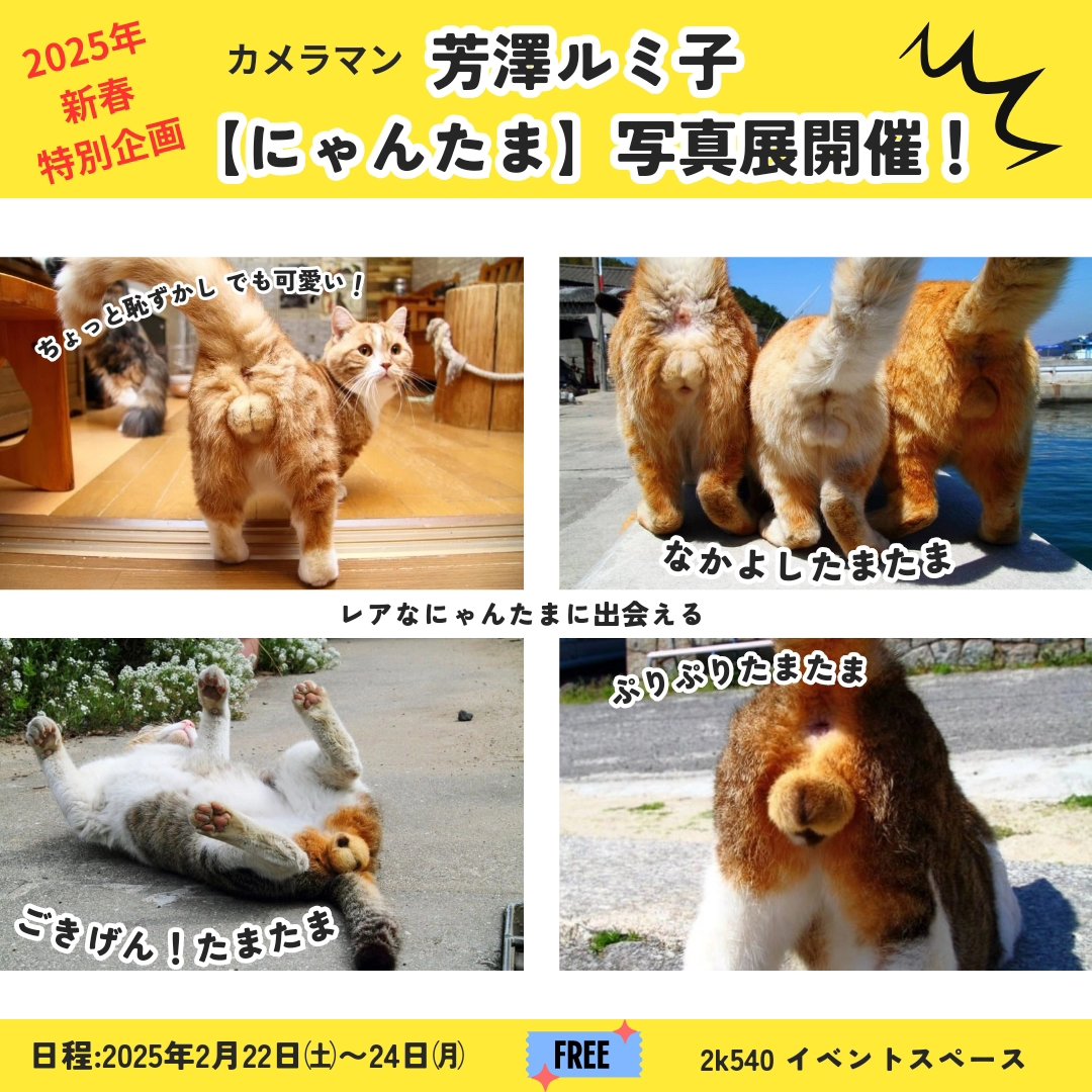 究極の癒し「にゃんたまω写真展」がやってくる！ ～奇跡の部位「にゃん