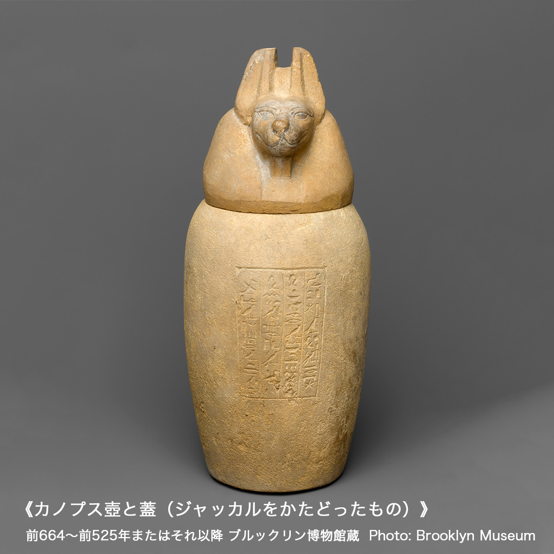 かわいらしい見た目をしていますが、古代エジプト人が最も大事にしてい