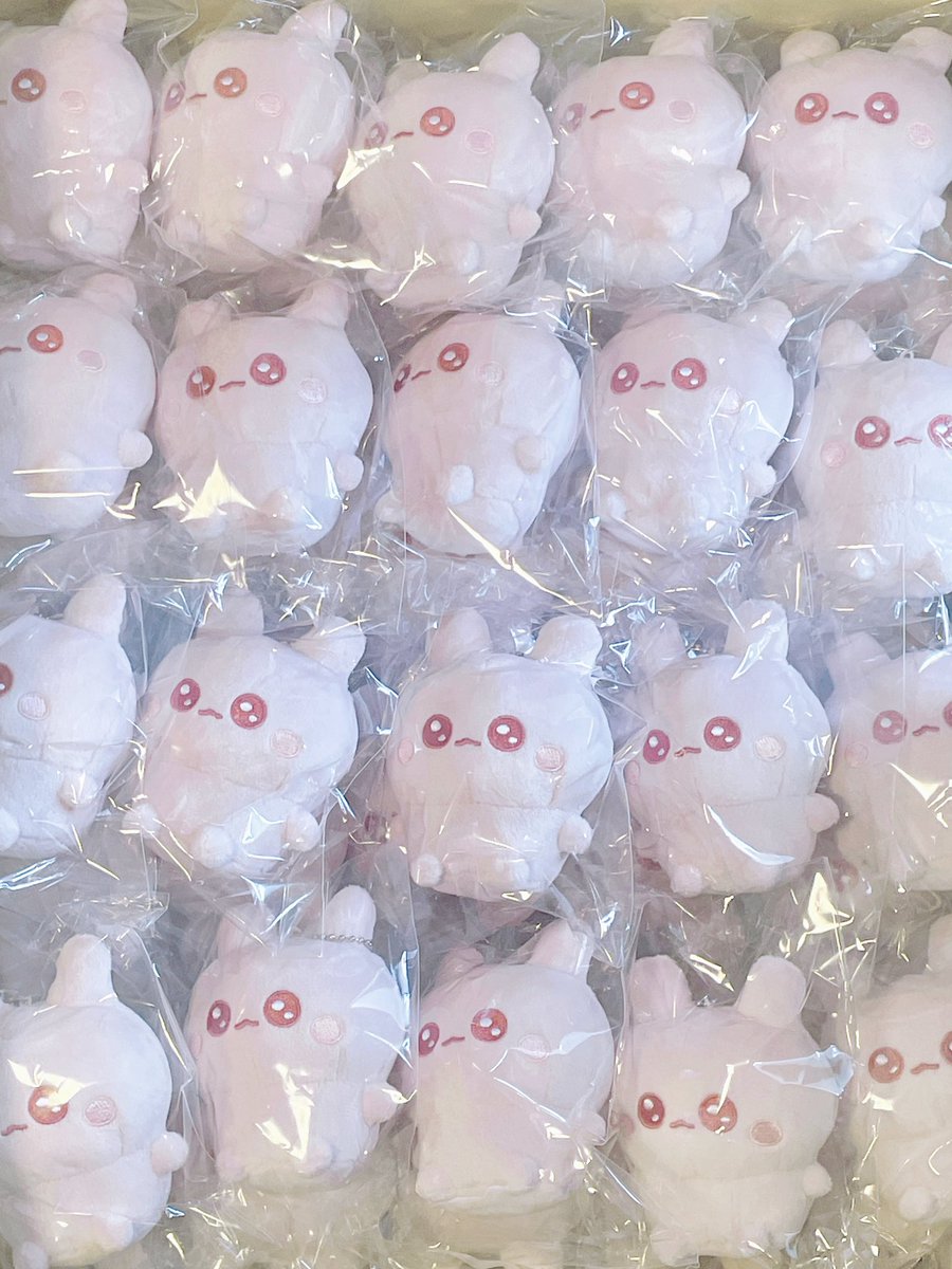 ✨うちゃ ぬいぐるみになったよ！✨ 🐰きょは、けんぴんのおしごとを