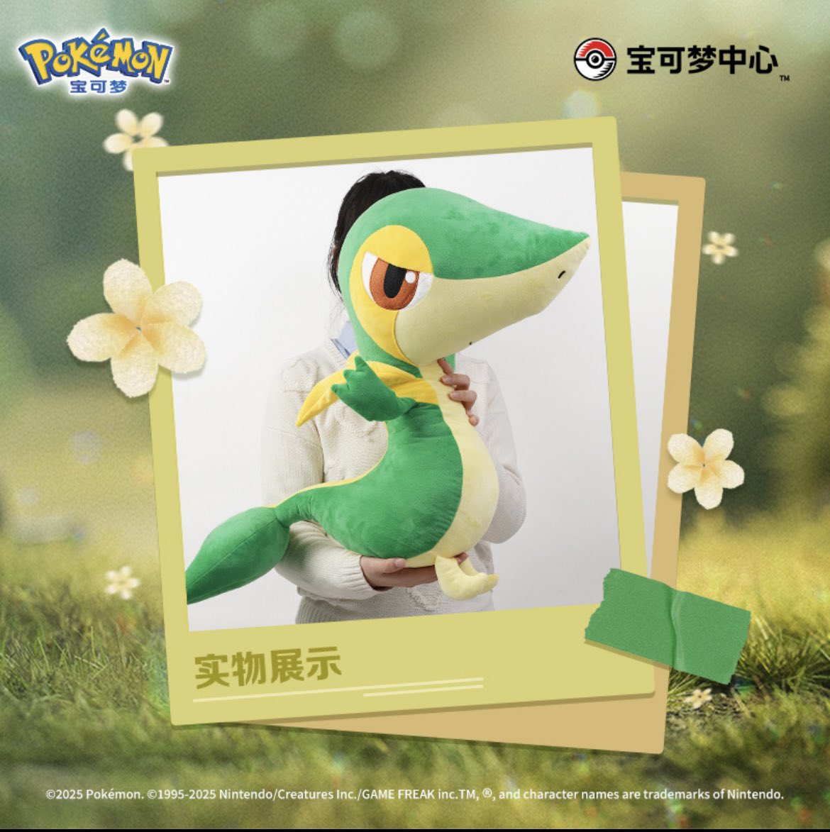 ポケモン　ぬいぐるみ　ツタージャ　等身大　クッション　202511290202