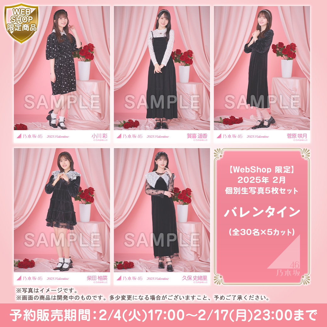 乃木坂46 バレンタイン 生写真 ５種コンプ 2019. Valentine